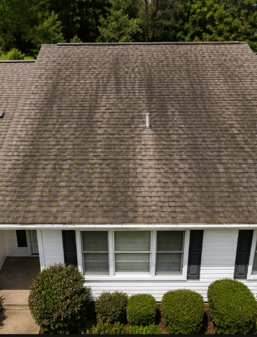 Asphalt shingle roof with heavy dark algae streaking before soft washing